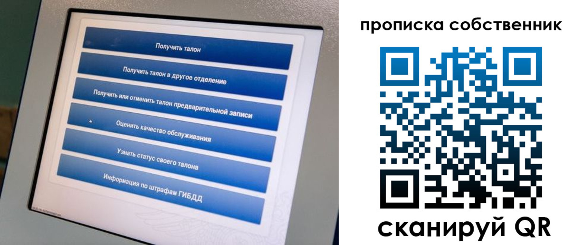 прописка поиск в Мончегорске