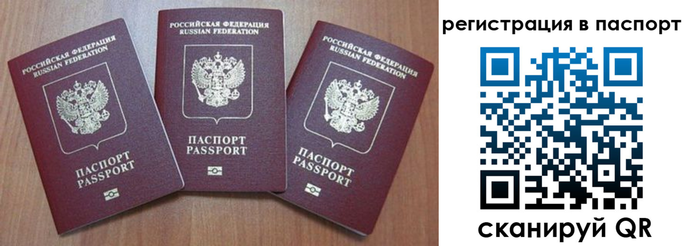 прописка паспорт в Мончегорске