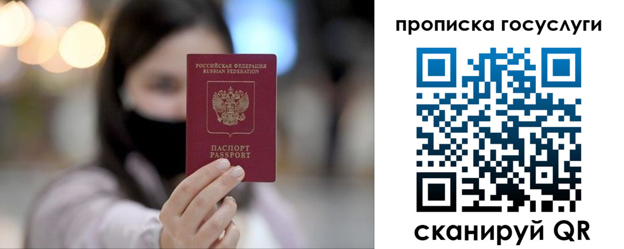 найти адрес прописки в Мончегорске